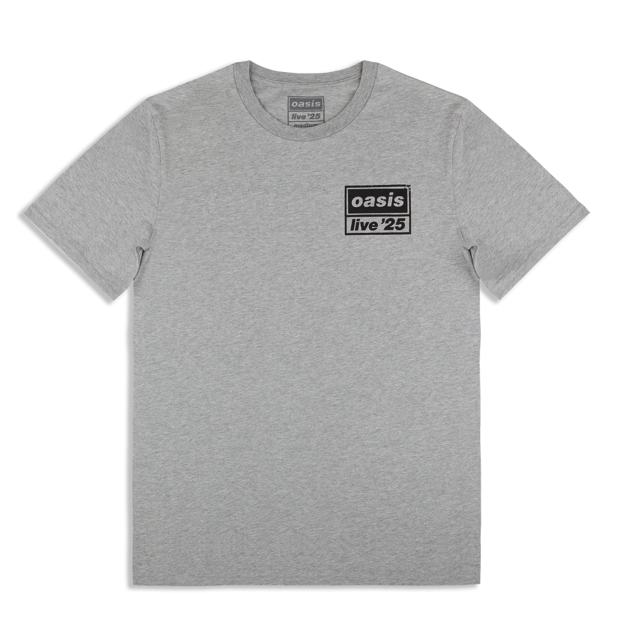 Live '25 Distressed Tour Logo T-Shirt Grey